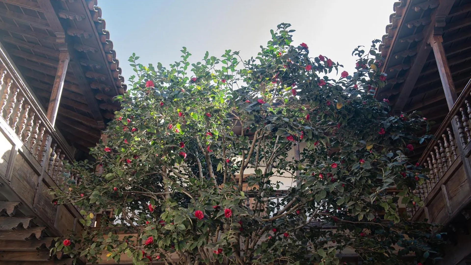 Hotel La Casa De La Camelia La Laguna   La Laguna (Tenerife)